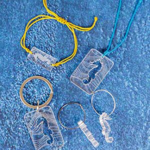 Conjunto 4 piezas caballito de mar